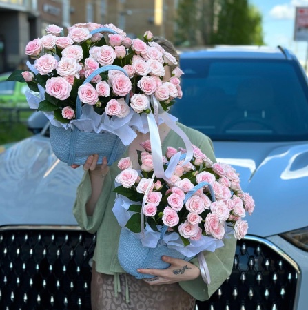 Розовый сад мечты