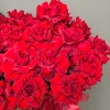Корзина из 51 розы 243