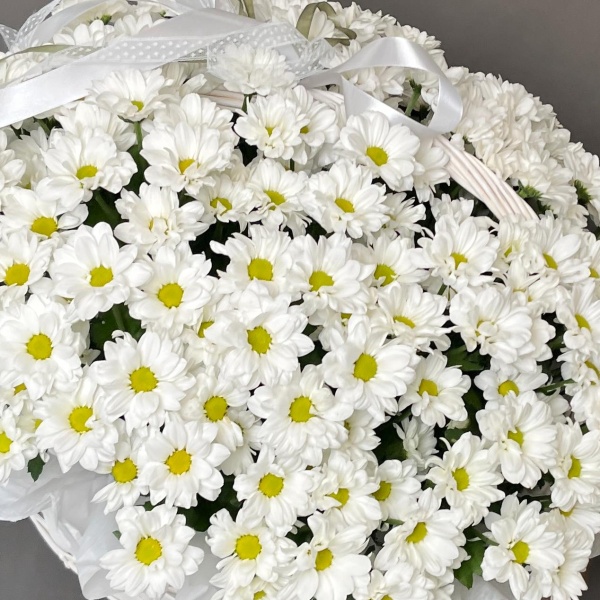 Корзина с ромашковидными хризантемами 238