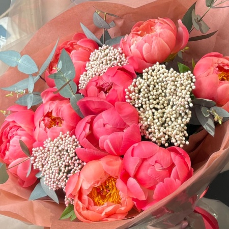 Пиончики Coral Charm