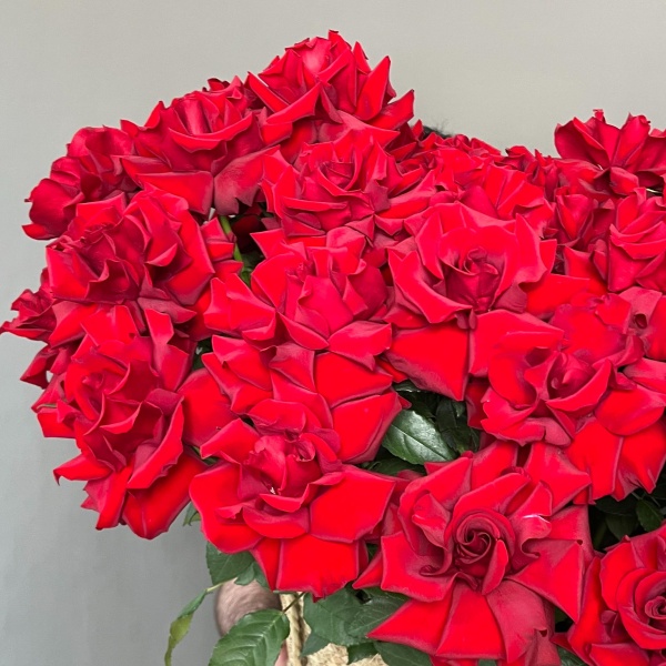 Корзина из 51 розы 243